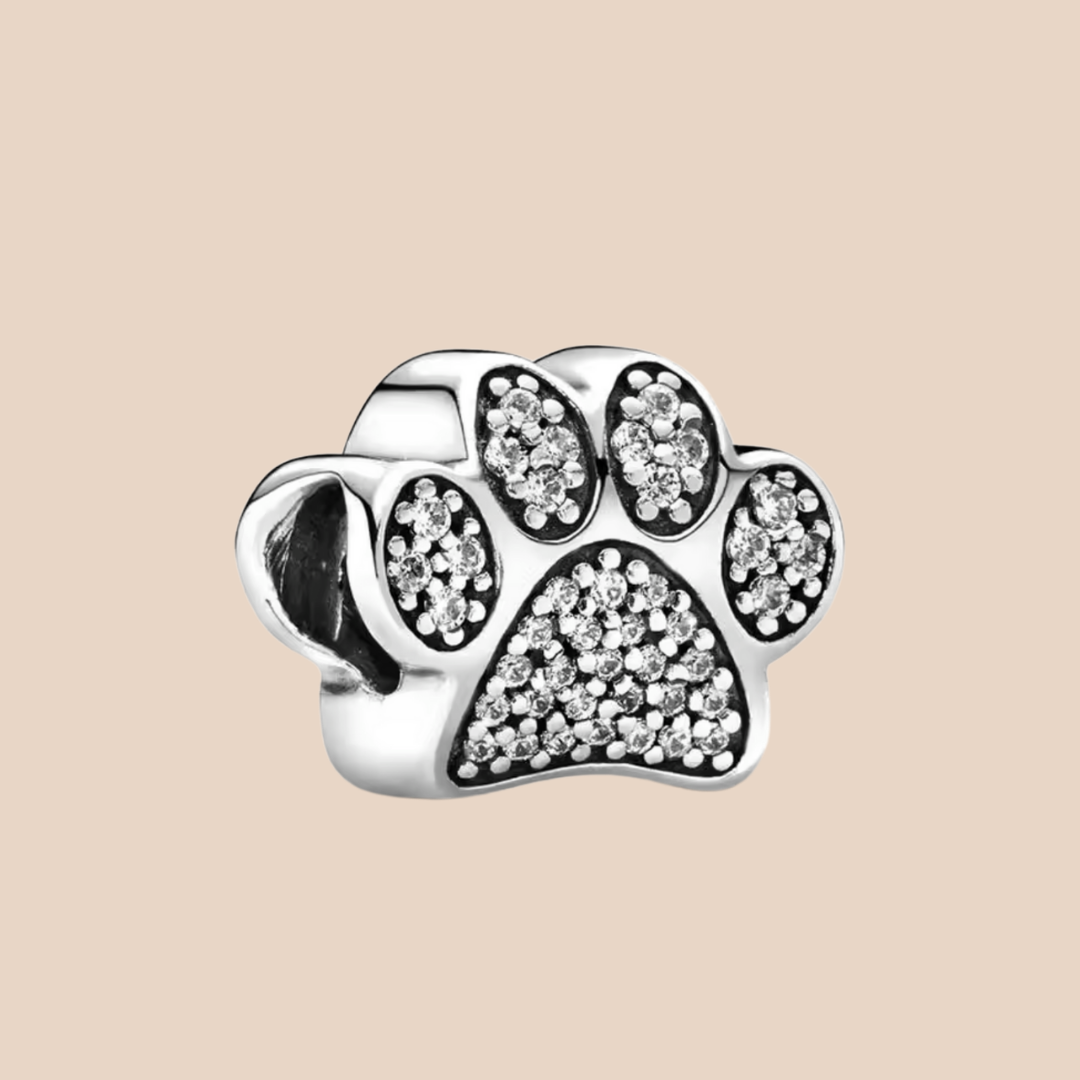 Charm huella de perro con piedras