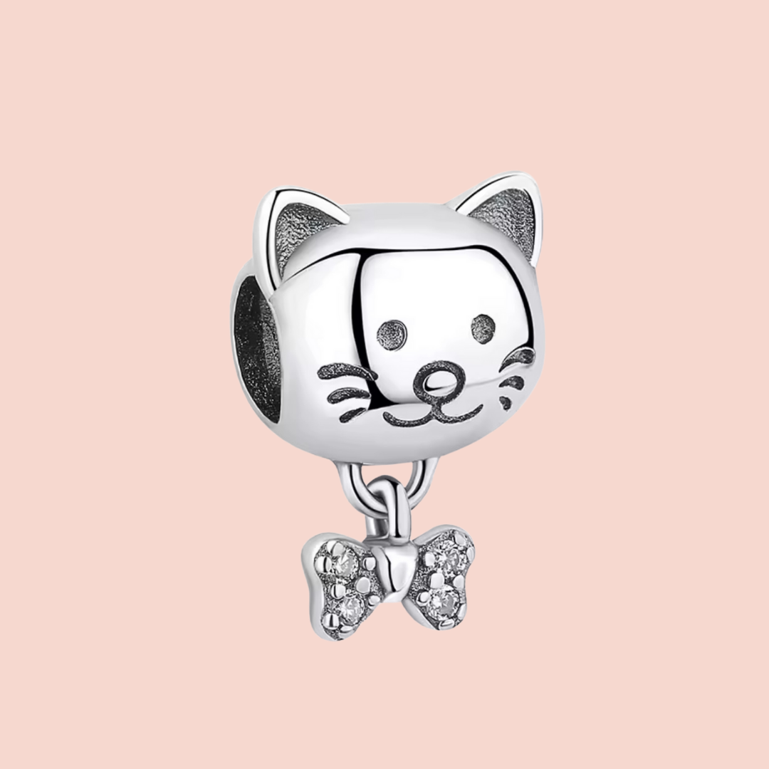 Charm gato con hueso con piedras