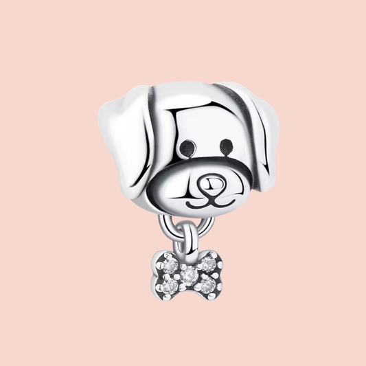 Charm perro con hueso con piedras