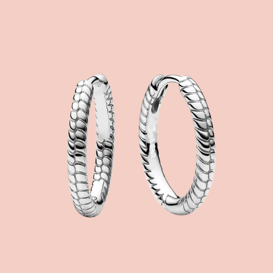 Arracadas medianadas plata cadena serpiente